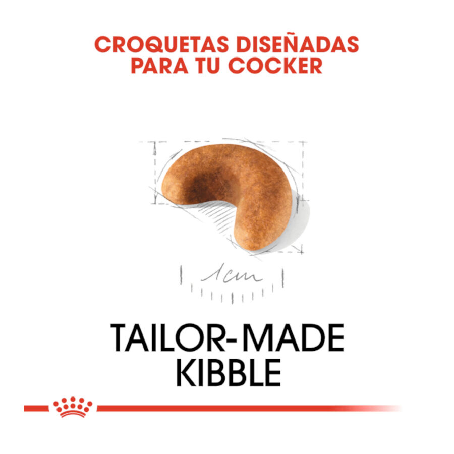 3 kg Royal Canin Puppy Cocker ra&ccedil;&atilde;o para c&atilde;es, , large Imagem n&uacute;mero 5